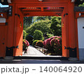 京都　栄摂院のサツキ 140064920