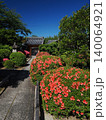京都　栄摂院のサツキ 140064921