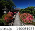 京都　栄摂院のサツキ 140064925
