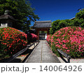 京都　栄摂院のサツキ 140064926