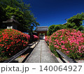 京都　栄摂院のサツキ 140064927