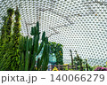 温室に咲くサボテン 140066279
