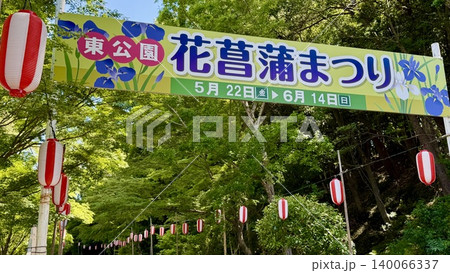 新緑に囲まれた「花菖蒲まつり」の案内看板と紅白のビニール提灯〈東公園/愛知県岡崎市〉 140066337