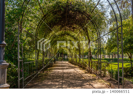 Sunlit Garden Arcade 140066551