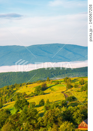 carpathian mountain landscape on a foggy morning. outdoor adventure with stunning view in morning light. mountainous countryside of ukraine in summer. rolling hills. scenic travel background carpathian mountain landscape on a foggy morning. outdoor adventure with stunning view in morning light. mountainous countryside of ukraine in summer. rolling hills. scenic travel background 140067208