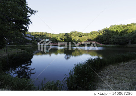 横浜市金沢区の称名寺の夕暮れ 140067280