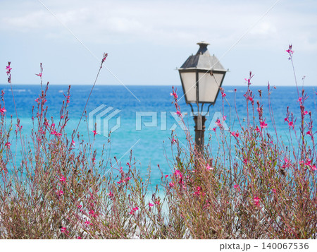 Vintage street lamp surrounded by pink flowers with turquoise ocean in the background - peaceful coastal scene from Tenerife, Canary Islands Vintage street lamp surrounded by pink flowers with turquoise ocean in the background - peaceful coastal scene from Tenerife, Canary Islands 140067536