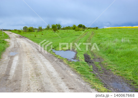 A dirt road winds through a green landscape with patches of grass and a small puddle. The sky is overcast, hinting at possible rain. 140067668