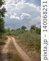 Road on the forest edge under the cloudy sky 140068251