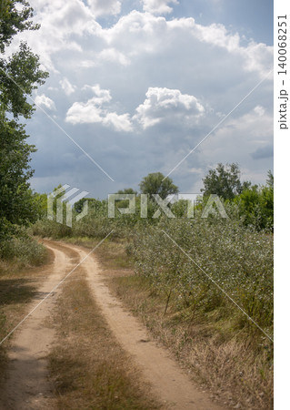 Road on the forest edge under the cloudy sky Road on the forest edge under the cloudy sky 140068251