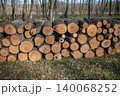Pile of tree logs prepared for firewood in the forest 140068252