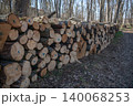 Chopped logs lie along the path 140068253