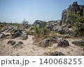 Large boulders on the sand surrounded by bushes 140068255