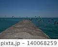Seagulls and other birds fly away from the pier 140068259