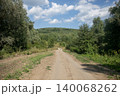 Narrow country road between trees 140068262