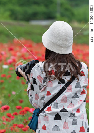 ポピーの花畑を撮影する女性 群馬県高山村 ポピーの花畑を撮影する女性 群馬県高山村 140068803