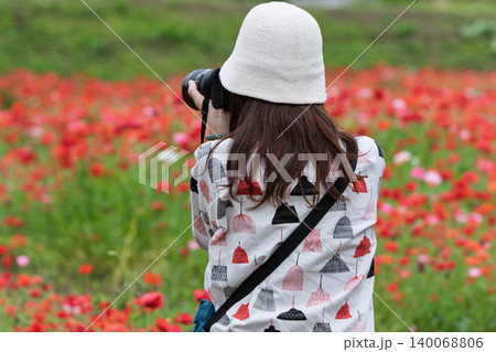 ポピーの花畑を撮影する女性　群馬県高山村 140068806