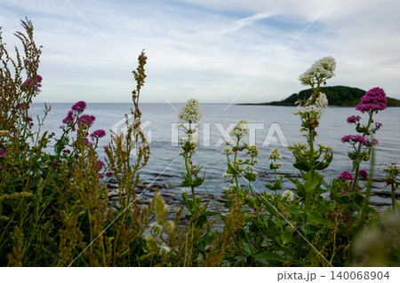 View from the South Cornwall Coast, UK on the edge of the land where it meets the sea in late spring View from the South Cornwall Coast, UK on the edge of the land where it meets the sea in late spring 140068904