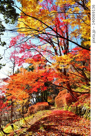 紅葉に染まる小千谷船岡山公園風景 140069136