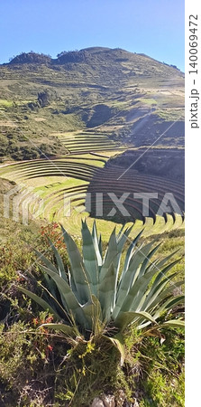 The circular archaeological terraces of Moray in Peru, with agave in the foreground. The circular archaeological terraces of Moray in Peru, with agave in the foreground. 140069472