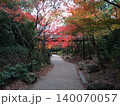 紅葉のある道 140070057