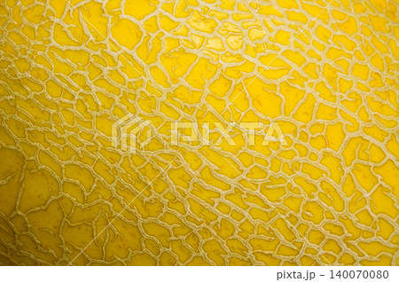 background texture surface of golden cantaloup background texture surface of golden cantaloup 140070080