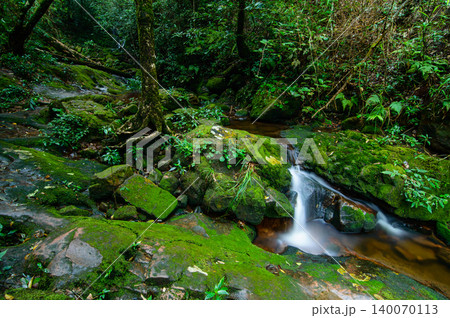 small waterfall and stream surround by rock covered with green moss small waterfall and stream surround by rock covered with green moss 140070113