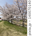 満開の桜のある公園風景 140070140