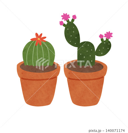 花が咲いている丸サボテンとウチワサボテンのテラコッタ鉢植え 水彩風手描きイラスト 花が咲いている丸サボテンとウチワサボテンのテラコッタ鉢植え 水彩風手描きイラスト 140071174