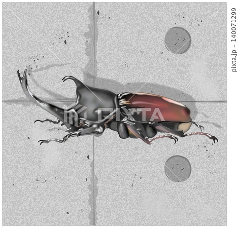 昆虫カブトムシの細密なイラストとコンクリート打ち放しのイラスト 昆虫カブトムシの細密なイラストとコンクリート打ち放しのイラスト 140071299