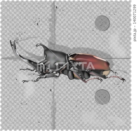 昆虫カブトムシの細密なイラストとコンクリート打ち放しのイラスト 昆虫カブトムシの細密なイラストとコンクリート打ち放しのイラスト 140071299