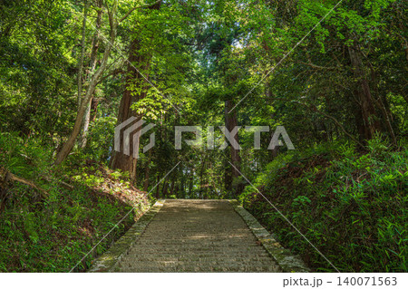 飛鳥川上坐宇須多岐比売命神社参道の石段 奈良県明日香村 飛鳥川上坐宇須多岐比売命神社参道の石段 奈良県明日香村 140071563