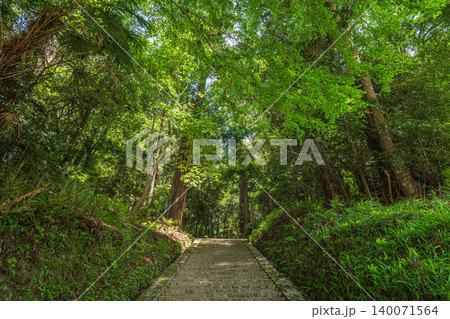 飛鳥川上坐宇須多岐比売命神社参道の石段 奈良県明日香村 飛鳥川上坐宇須多岐比売命神社参道の石段 奈良県明日香村 140071564