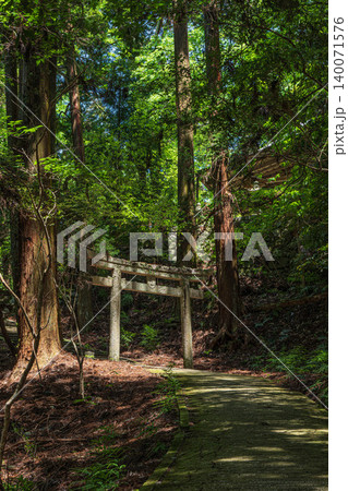 飛鳥川上坐宇須多岐比売命神社参道　奈良県明日香村 140071576