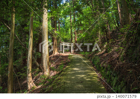 飛鳥川上坐宇須多岐比売命神社参道　奈良県明日香村 140071579