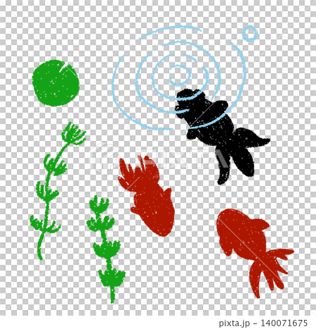 手書き風の金魚と水草を上から覗いたイラスト 手書き風の金魚と水草を上から覗いたイラスト 140071675