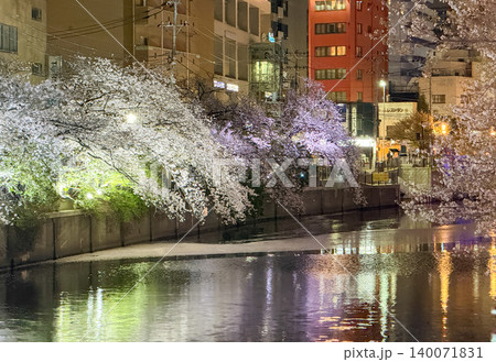 大岡川の川面を美しく彩る幻想的な夜桜と煌めく街明かり 大岡川の川面を美しく彩る幻想的な夜桜と煌めく街明かり 140071831