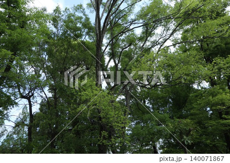 平和島公園 平和島公園 140071867