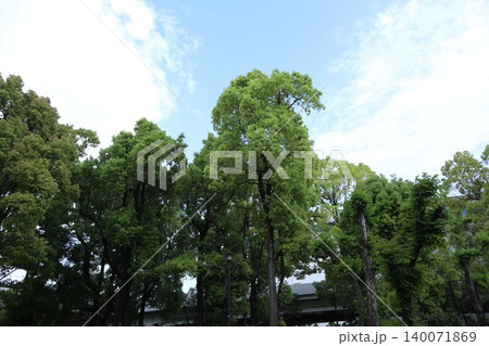 平和島公園 平和島公園 140071869