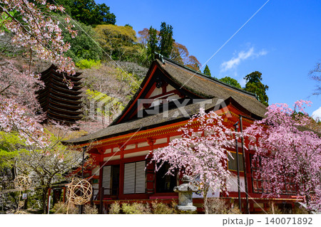 桜の談山神社 桜の談山神社 140071892