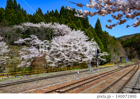 満開の桜と鉄道 140071900