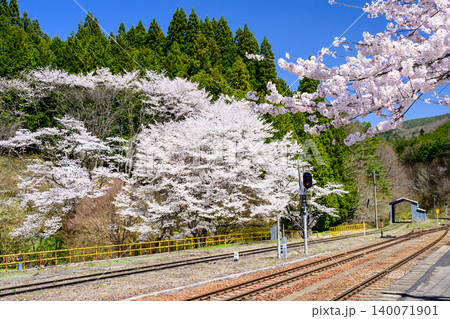 満開の桜と鉄道 140071901