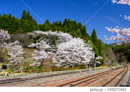 満開の桜と鉄道 満開の桜と鉄道 140071902