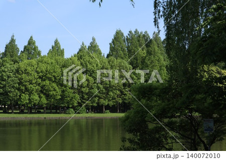 葛飾区 水元公園 葛飾区 水元公園 140072010