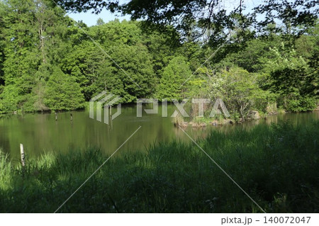 葛飾区 水元公園 葛飾区 水元公園 140072047