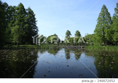 葛飾区　水元公園 140072052