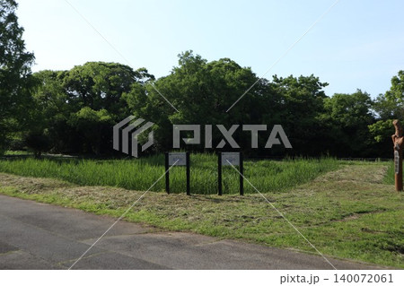 葛飾区 水元公園 葛飾区 水元公園 140072061