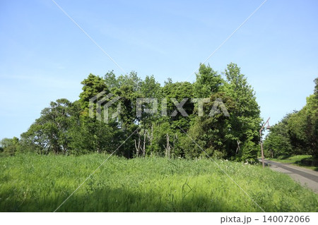 葛飾区 水元公園 葛飾区 水元公園 140072066