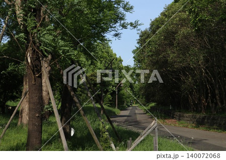 葛飾区 水元公園 葛飾区 水元公園 140072068