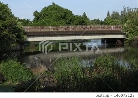 葛飾区　水元公園 140072128